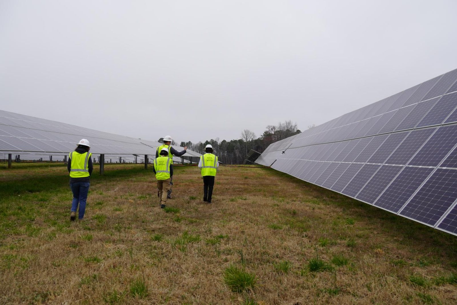 Crew walking between rows of modules