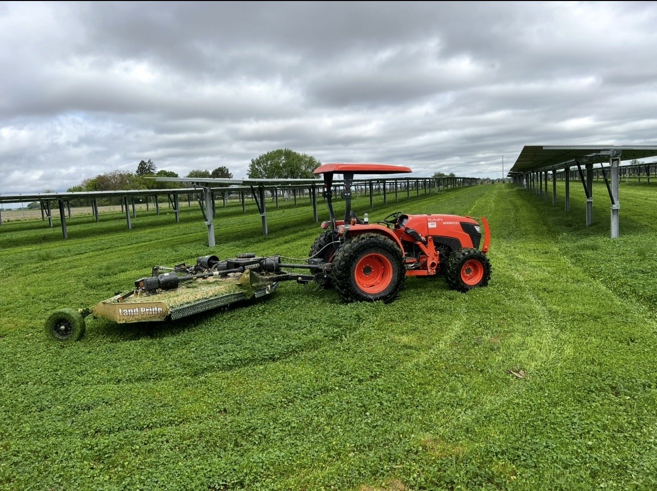 Tractor and rotary mower cutting vegetation between rows of solar modules